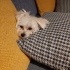 Miny