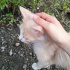 Pamuk