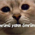 Minnoş