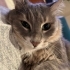 Suzi