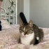 mia