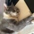 patik