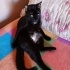 Zeytin