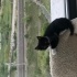zeytin