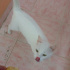 Pamuk