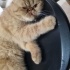 TOFY