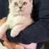 Casper