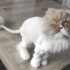 CASPER