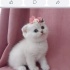Suzy