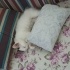 Pamuk