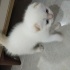 Ares