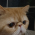 Baron