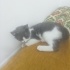 Selina