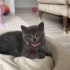 Hera