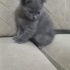 Mia