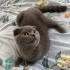 Sultan
