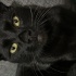 Lucifer