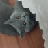 Hera