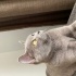 Hera