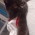 Zeytin