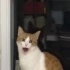 Kuzey