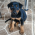 Ares