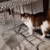 Lucky