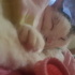 Tosun