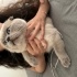 Casper
