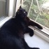Zeytin