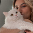 Leydi