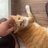 Kuzey