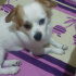 Ares