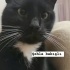 Patisu