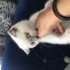 Pamuk