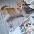 Muhittin