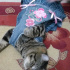 Duman