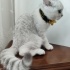 Sezar