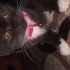 Missy