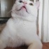 Olaf