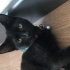 Zeytin