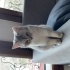 uzay