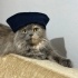 Şila