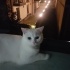 BuLuT