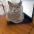 Ares