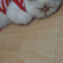 Minnoş