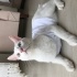 Casper