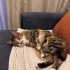 Missy