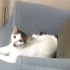 ŞUBAT