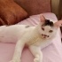 Mutlu